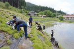 シバザクラ植え替え大学生ら協力　西粟倉の公園で４００株作業
