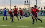 ファジ初優勝、学芸館２位　高校年代サッカー プリンスＬ中国