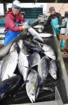 宮城県、漁業支援に３億円　利子補給や賠償説明会