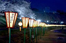 岡山さくらカーニバル、いよいよ　開幕前夜にライトアップ試験点灯
