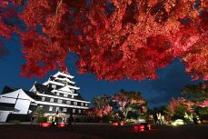 秋の幻想庭園、灯源郷 ２６日まで　浮かぶ岡山城天守閣、映える紅葉　