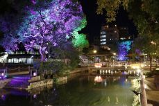 岡山市中心部 光で彩る夜楽しんで
