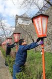 夜桜照らすぼんぼり 設置始まる　津山・鶴山公園 まつり２３日開幕