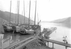 片上港の活況伝える古い写真公開　津山の江見さん、本紙きっかけに