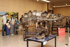 骨格や模型 恐竜アート迫力満点　倉敷で美術展、５０作品並ぶ