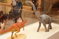 骨格や模型 恐竜アート迫力満点　倉敷で美術展、５０作品並ぶ