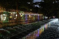 赤や青、金色 ２４万個の光彩る　岡山・西川イルミ１７日開幕