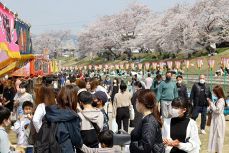 岡山さくらカーニバルが開幕　花満開 ４年ぶりのにぎわい