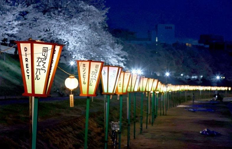 ぼんぼりや投光器が試験点灯され、開幕を待つばかりとなった岡山さくらカーニバルの会場
