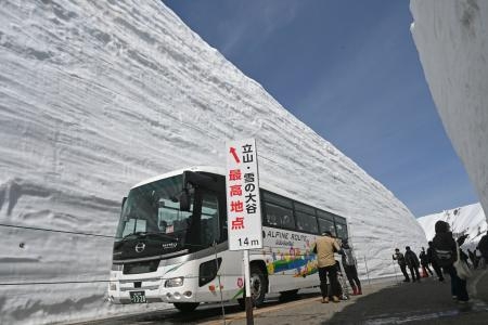　「立山黒部アルペンルート」が全線開通し、雪壁の間を進むバス＝１５日午前、富山県立山町