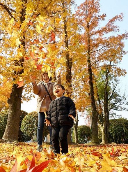 降り積もった落ち葉で遊ぶ子ども＝７日午前１０時、岡山県総合グラウンド