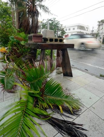 　台風２号による強風の影響で倒れた植木＝１日午前、沖縄県宮古島市