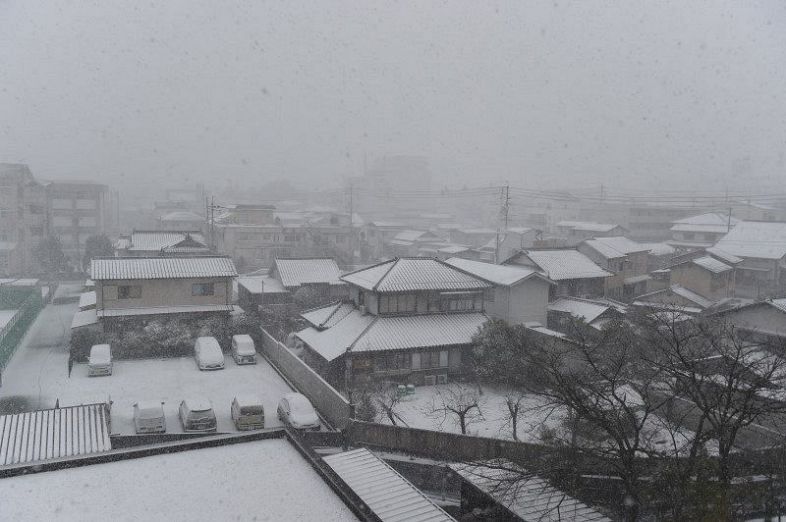 雪に包まれた津山市街地＝２４日