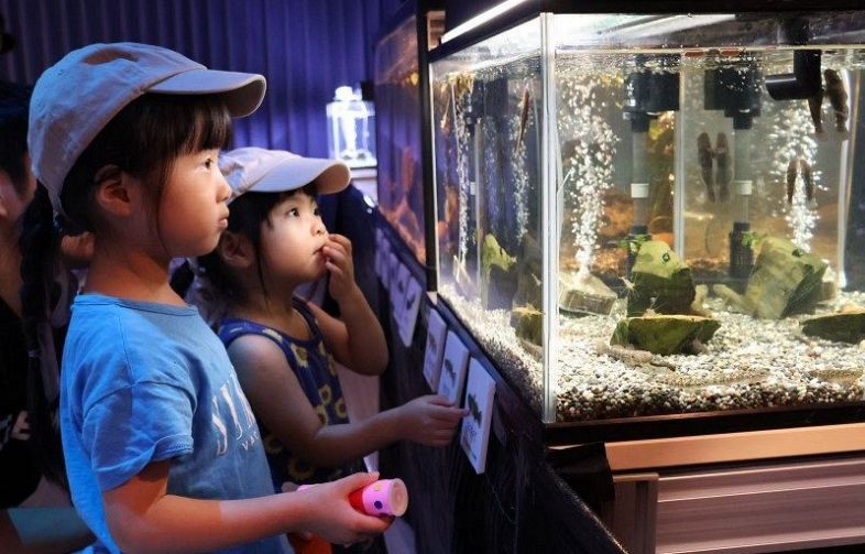 絶滅が危惧される淡水魚を紹介する「おかやまアユモドキ水族館」