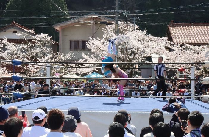 桜を背景にアクロバティックな技を繰り広げる選手たち＝岡山県新庄村