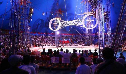 木下大サーカス岡山公演が開幕　スリルと興奮のステージで魅了