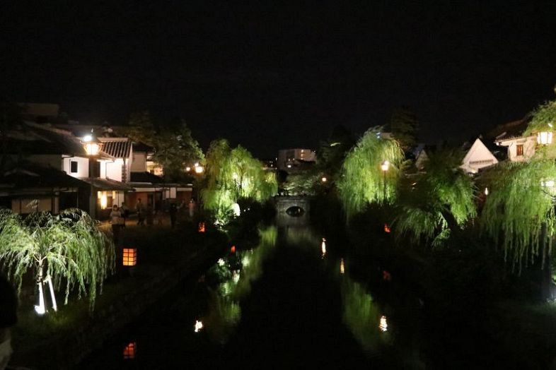 柔らかな光で照らし出された倉敷川沿いの柳並木＝２０２２年８月２６日