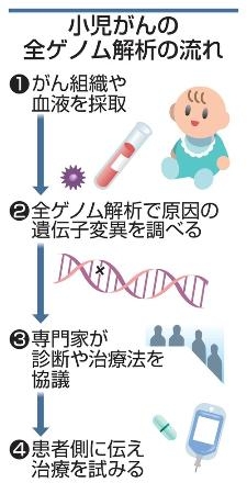 　小児がんの全ゲノム解析の流れ
