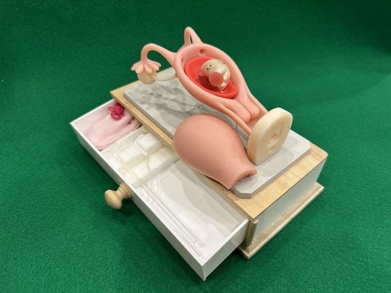 「かわいらしさ」をコンセプトに製作した子宮・卵巣模型「ＤＯＵＮＡＴＴＯＮ」