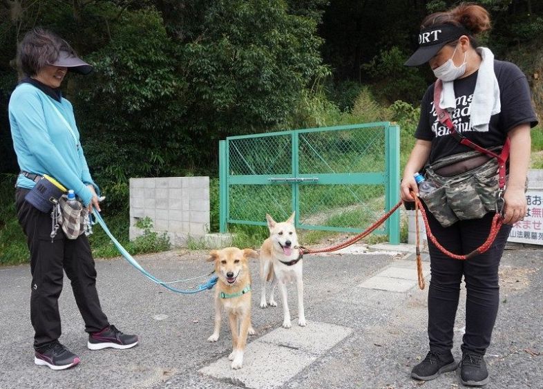 ボランティアの協力で人に慣れさせる訓練を重ねる犬たち＝岡山市北区