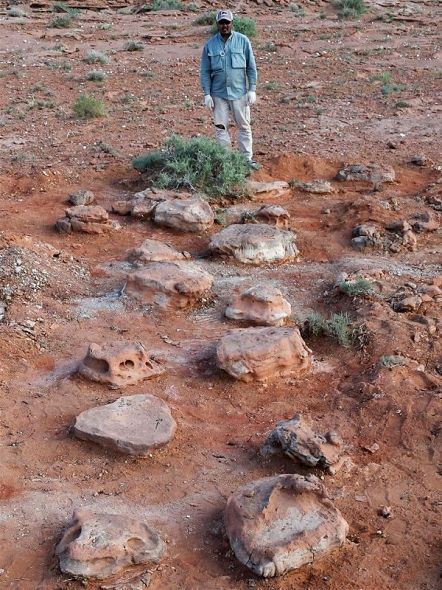 調査で見つかったティタノサウルス類の足跡化石＝モンゴル・ゴビ砂漠中央部（岡山理科大・モンゴル共同調査隊提供）