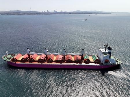 　黒海を通じた穀物輸出合意の下、穀物を運ぶ船＝１５日、トルコ・イスタンブール沖（ロイター＝共同）