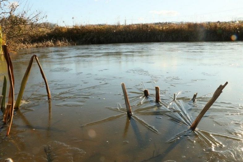 氷が張ったため池＝２２日午前９時２５分、岡山市北区佐山