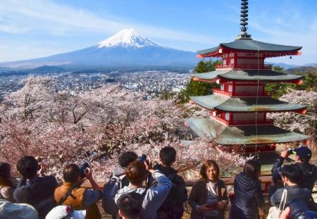 富士山と桜、絶景が見頃　山梨・新倉山浅間公園