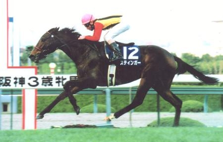 　１９９８年の阪神３歳牝馬ステークスで快勝したスティンガー＝阪神競馬場