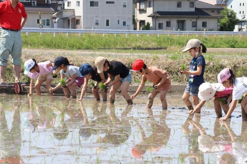 食糧難のマリの子どもに支援米を　津山・高野小児童 愛込めて田植え