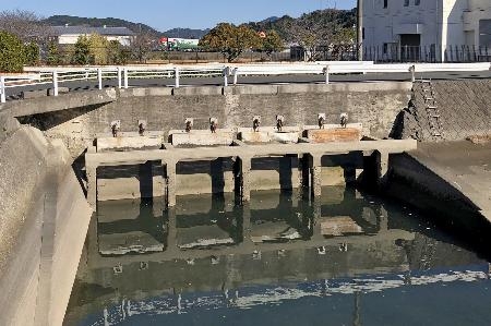 　樋門の撤去工事が延期されることになった「百間排水口」＝１月、熊本県水俣市