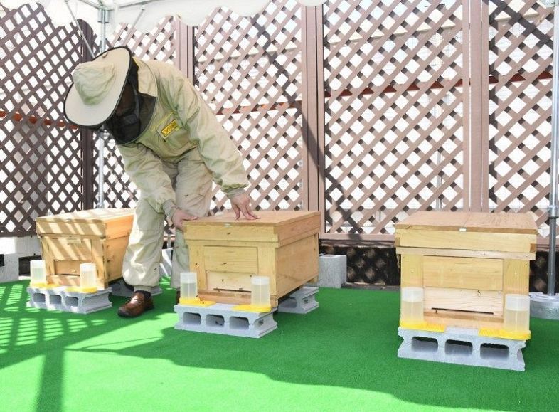 環境教育促進へ都市養蜂を開始　岡山、天満屋グループ 新拠点開設