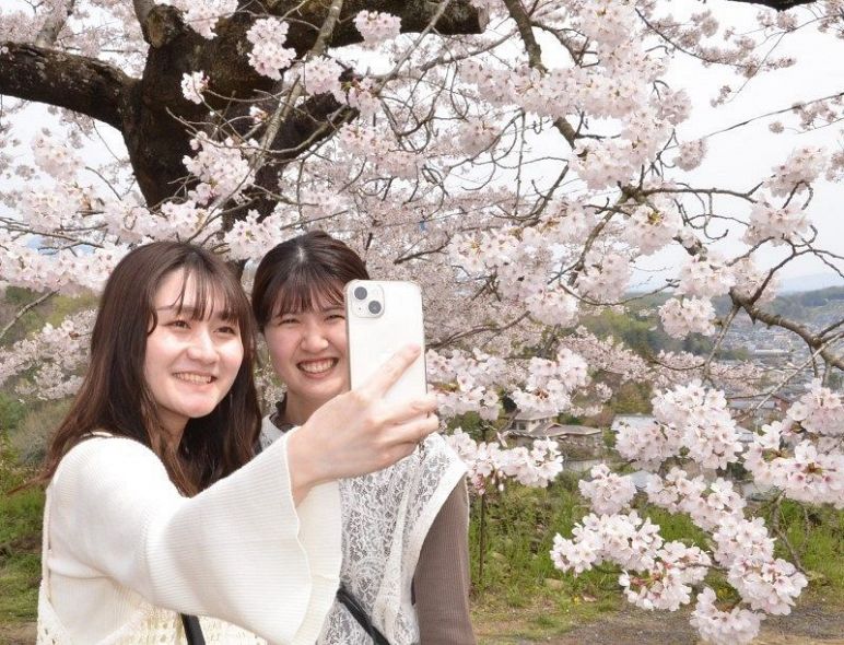 満開の桜をバックにパチリ。スマートフォンで自撮りする女性たちの笑顔が映える＝５日