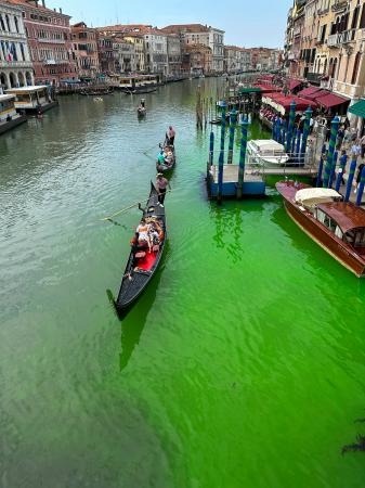 　２８日、緑色になったイタリア・ベネチアの運河とゴンドラ（ＡＰ＝共同）