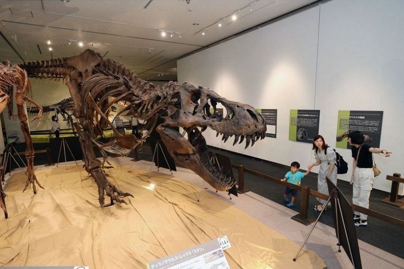 迫力満点のティラノサウルスの復元骨格などが並ぶ会場