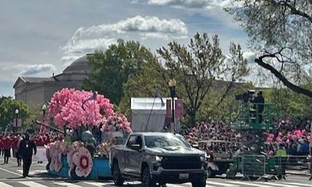 　１３日、全米桜祭りのパレードに登場した桜のオブジェ＝ワシントン（共同）