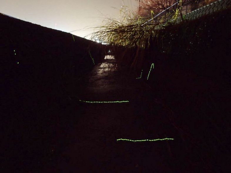 用水路から上陸したゲンジボタルの幼虫の光跡＝２３日午後８時ごろ、岡山市中区高島地区（友延さん撮影）