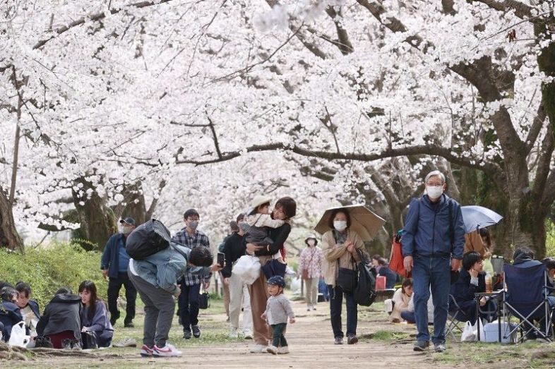桜が満開となった後楽園周辺を歩く人たち＝２７日