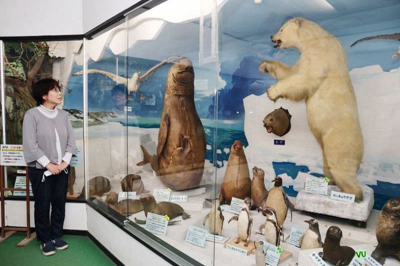 世界の希少な動物剥製などを展示するつやま自然のふしぎ館