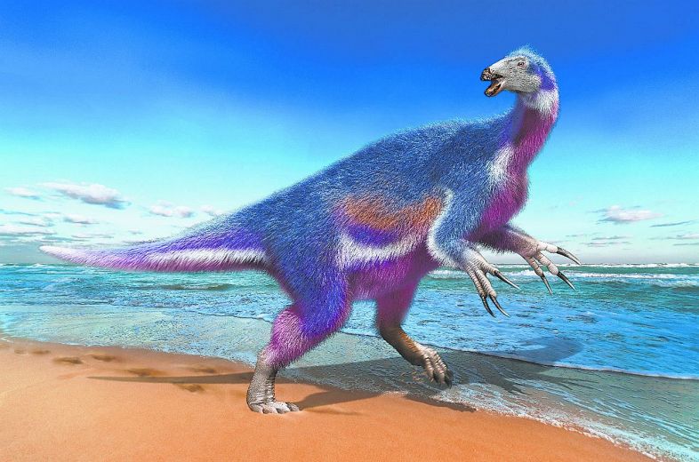 パラリテリジノサウルス・ジャポニクスの復元図（服部雅人氏提供）