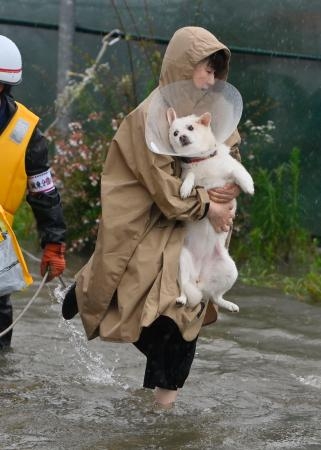 　大雨で冠水した秋田市内で犬を抱いて避難する女性＝１５日午後１時１７分