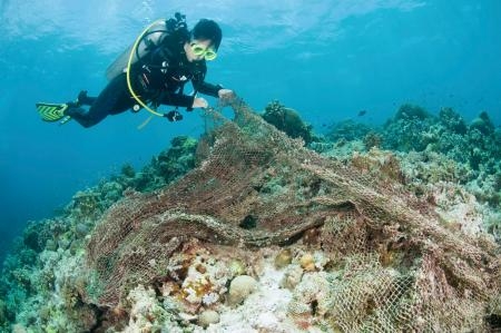 　サンゴに絡まった古い漁網＝２００９年４月、フィリピン・パラワン島沖（Ｊｕｒｇｅｎ　Ｆｒｅｕｎｄ氏・ＷＷＦ提供）