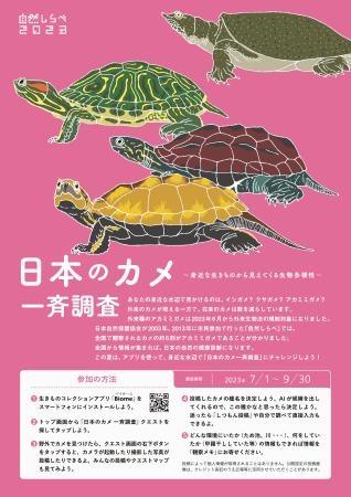 　カメについての調査協力を呼びかける日本自然保護協会のチラシ