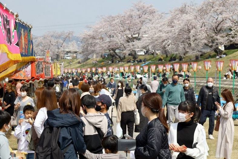 岡山さくらカーニバルが開幕し、満開の桜の下、多くの花見客らでにぎわう会場