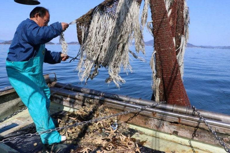 底引き網で空き缶などを引き揚げる漁師たち＝笠岡市沖