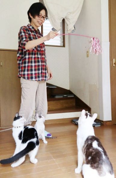 預かっている保護猫と遊ぶ吉田さん