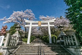 神楽岡・宗忠神社（京都市左京区）