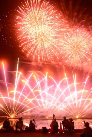 　福島県南相馬市で開かれた「追悼福興花火」で打ち上げられた花火＝１１日夜
