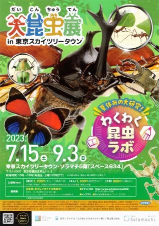 　「大昆虫展ｉｎ東京スカイツリータウン」のチラシ