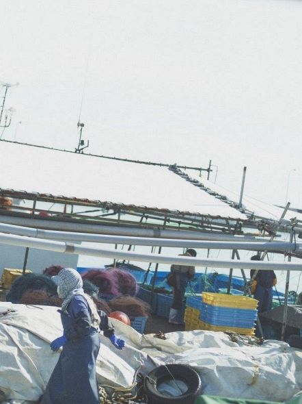 新潟県旧赤泊村の漁港で水揚げ作業をする女性（仁科さん撮影）